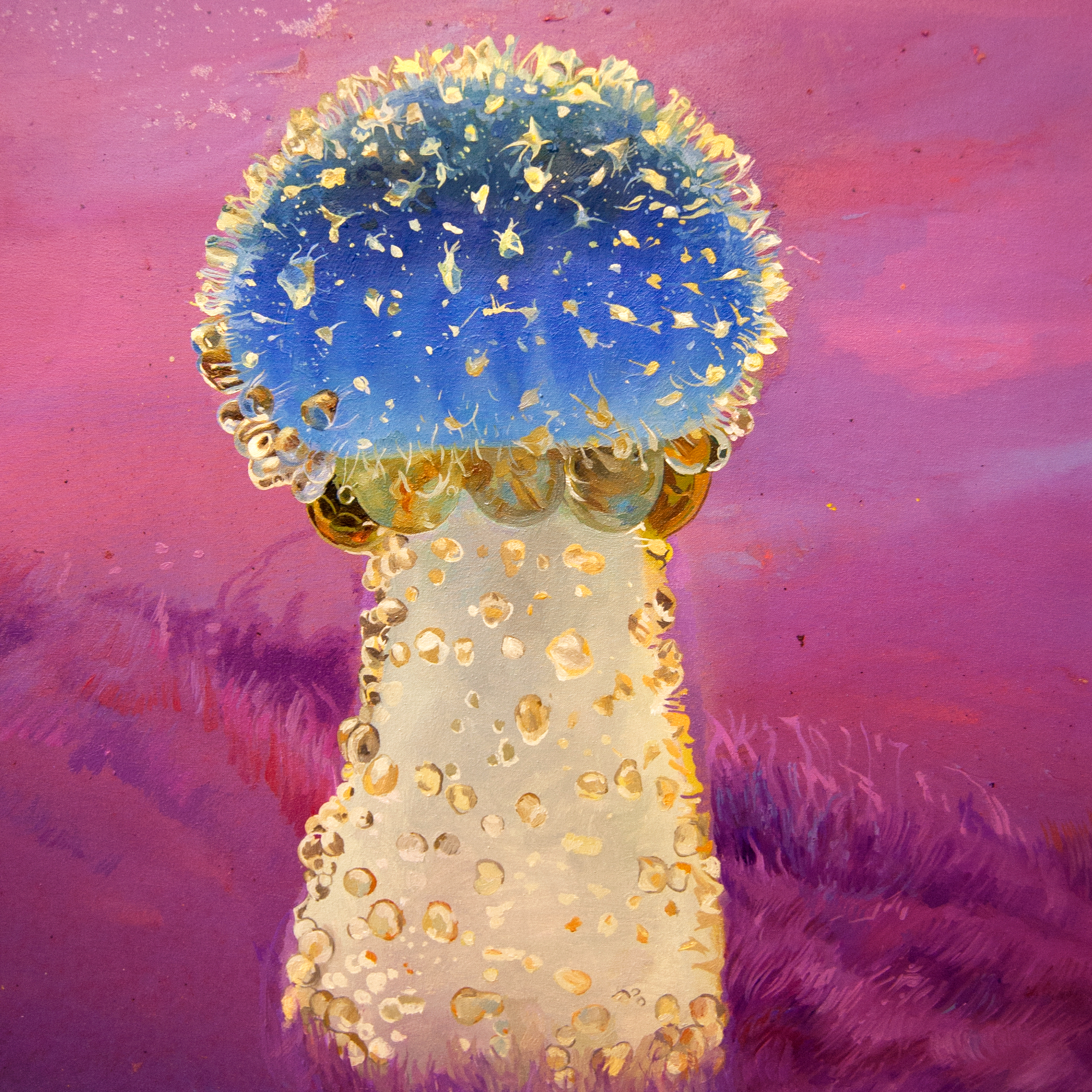 ANASTASIYA PARVANOVA